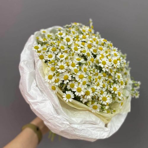 Букет из кустовой ромашки